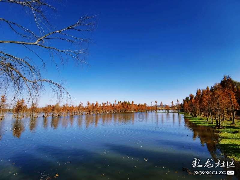 结婚请帖放烟可以邮寄吗?知识星球平台-专业分享与学习交流社区